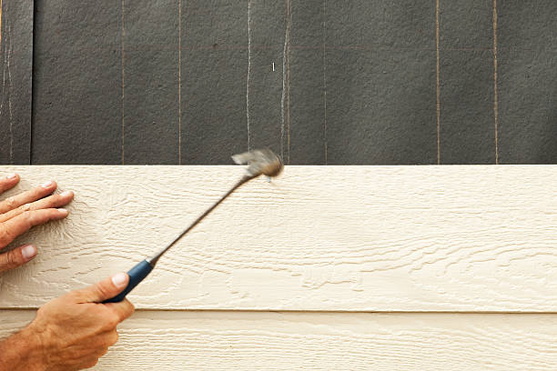 Best Siding for Multi-Family Homes  in Hammond, LA